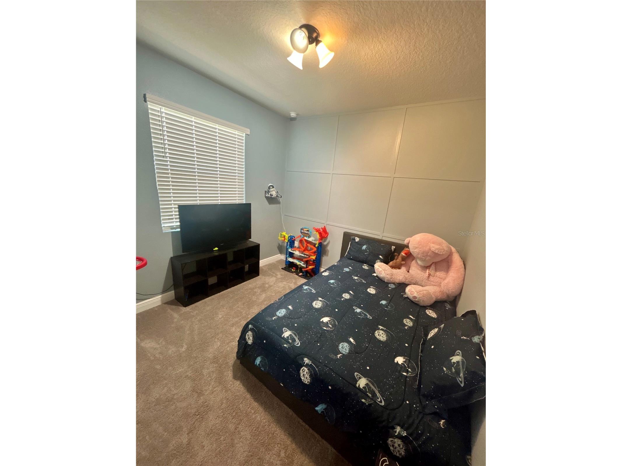 2587 Summer Star Way Leesburg FL 34748 S5151127 image9