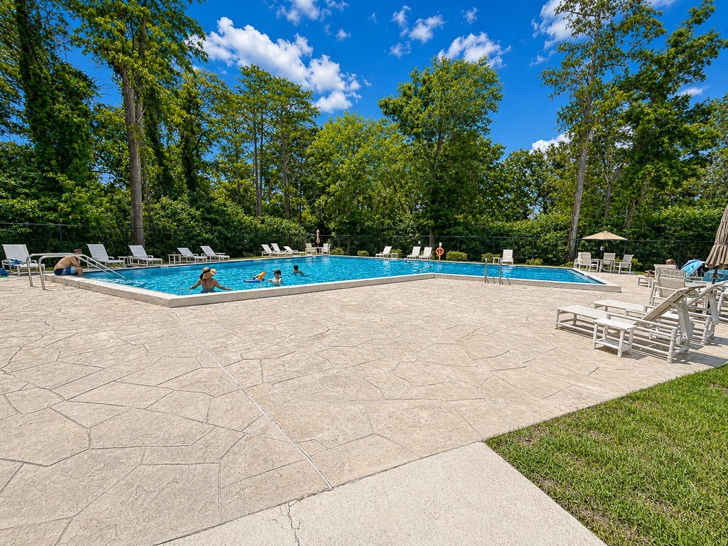 2588 Forest Run Court Clearwater FL 33761 TB8507142 image68