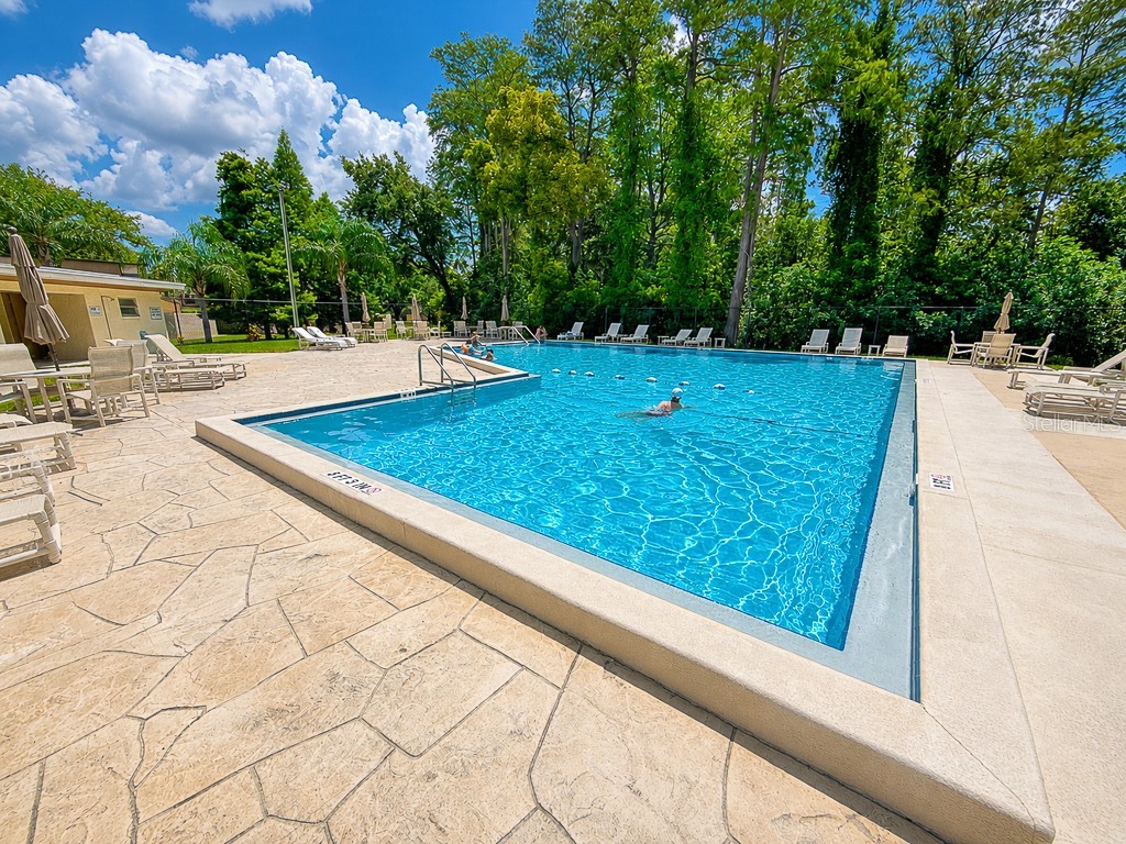 2588 Forest Run Court Clearwater FL 33761 TB8507142 image69