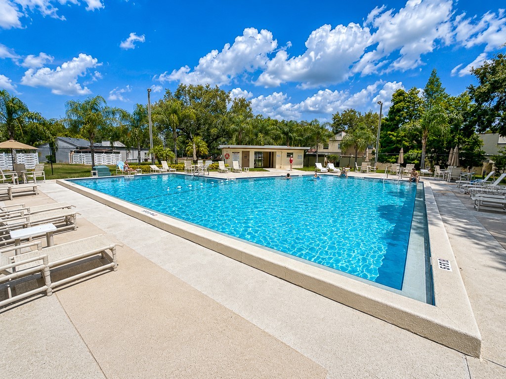 2588 Forest Run Court Clearwater FL 33761 TB8507142 image70
