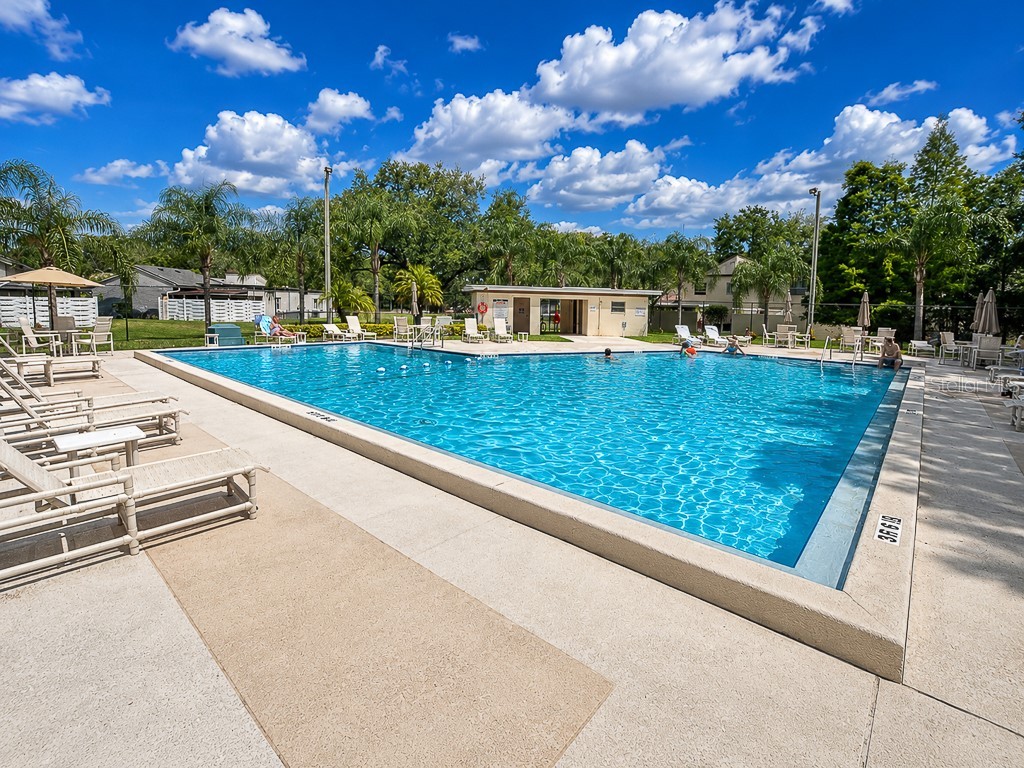 2588 Forest Run Court Clearwater FL 33761 TB8507142 image71