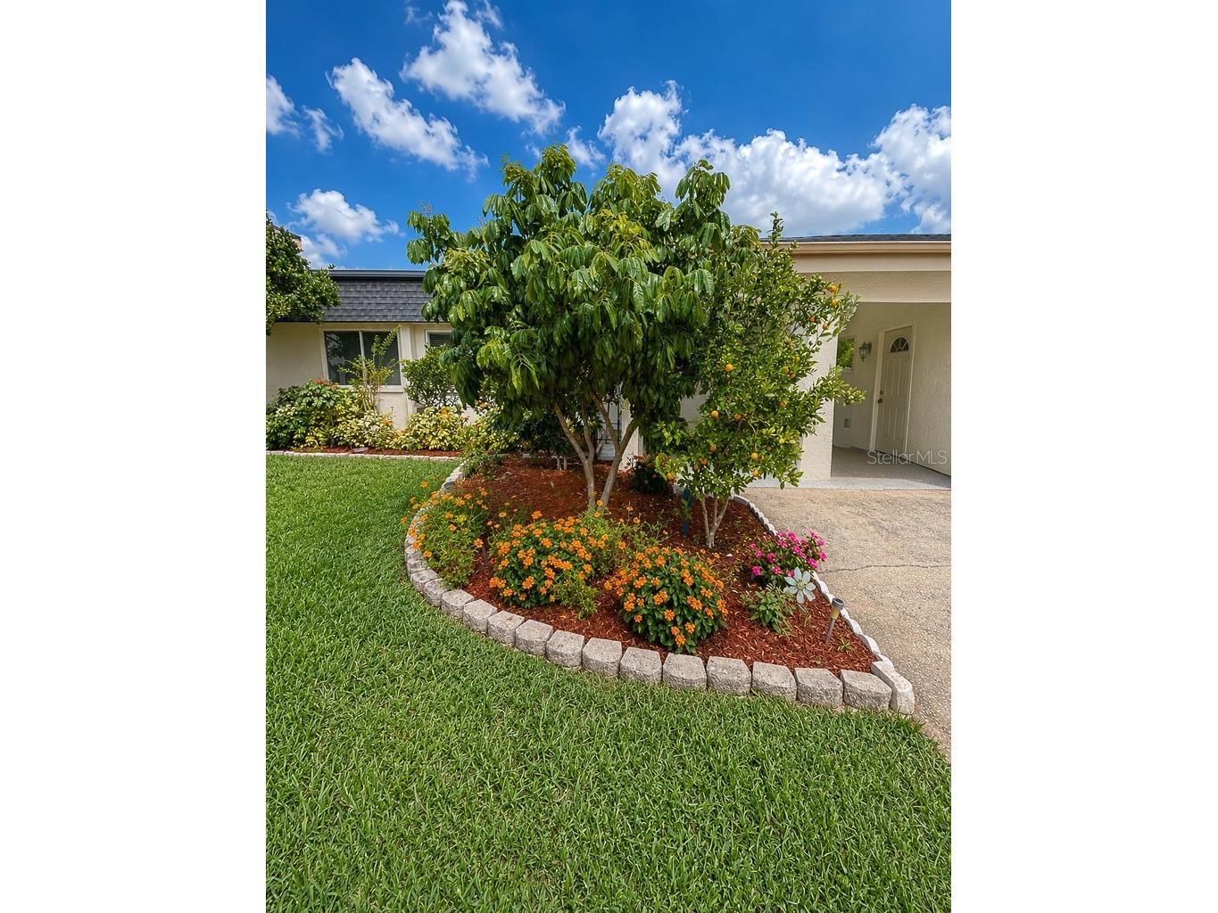 2588 Forest Run Court Clearwater FL 33761 TB8507142 image78