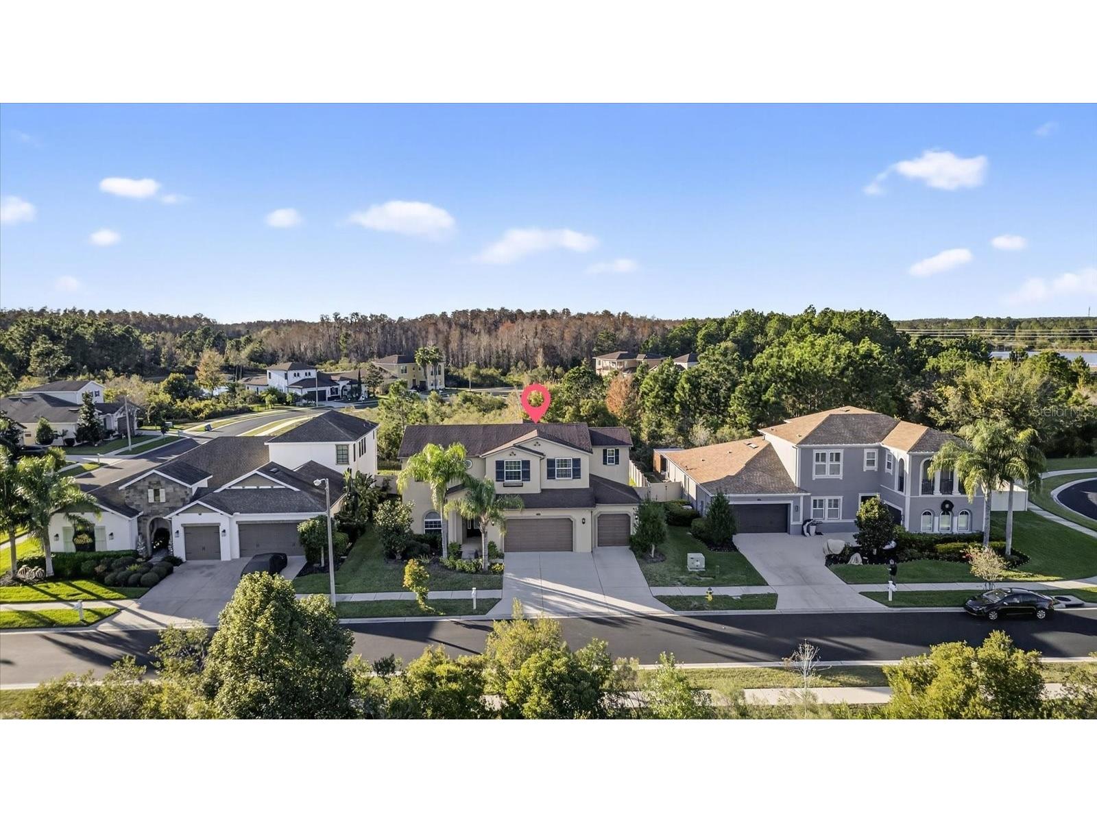 2589 Gwynhurst Boulevard Wesley Chapel FL 33543 TB8460366 image3