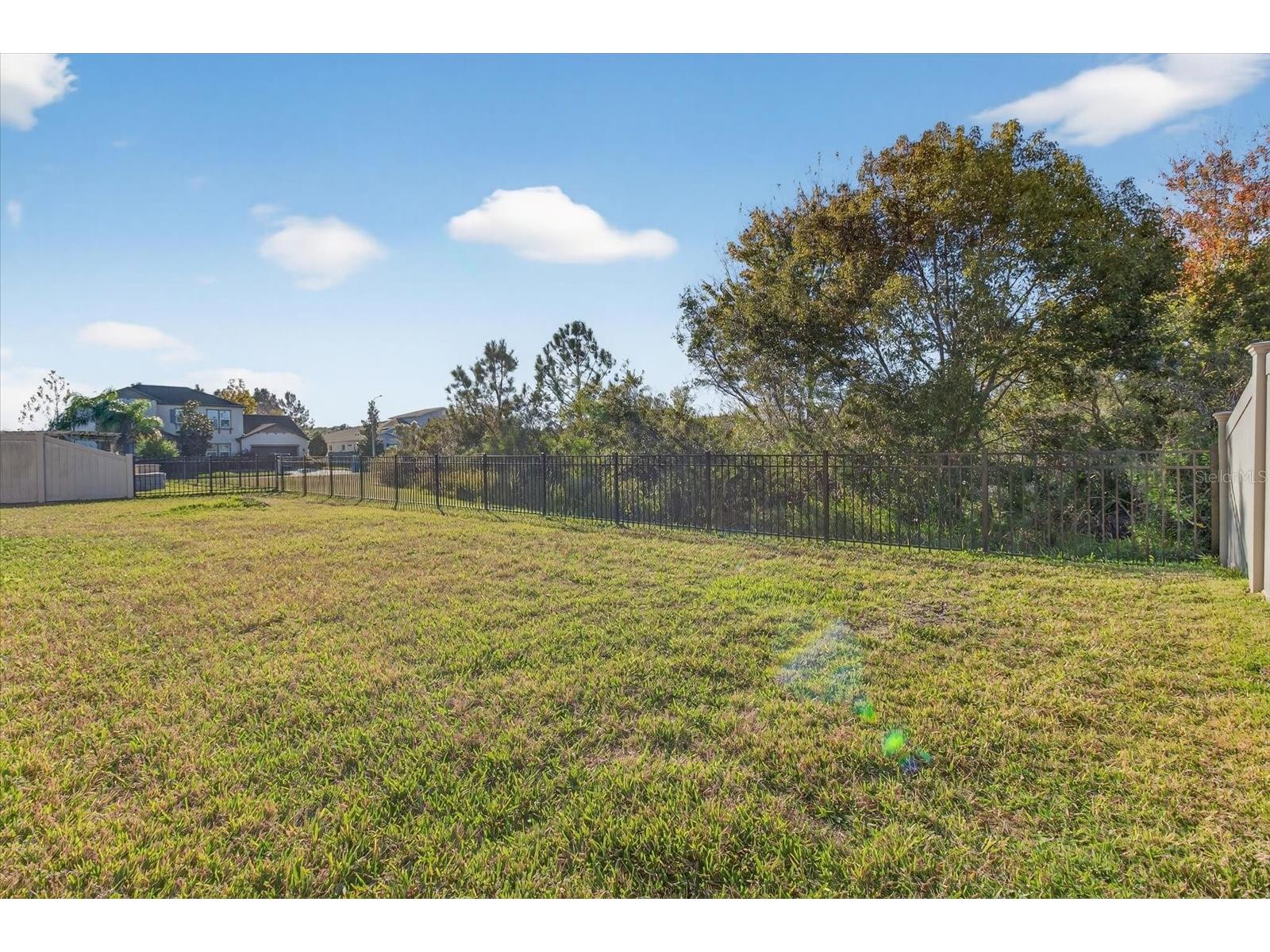 2589 Gwynhurst Boulevard Wesley Chapel FL 33543 TB8460366 image52