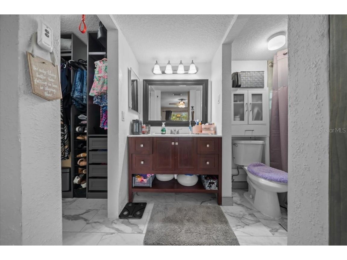 2589 Knoll Street W Palm Harbor FL 34683 OM709701 image21