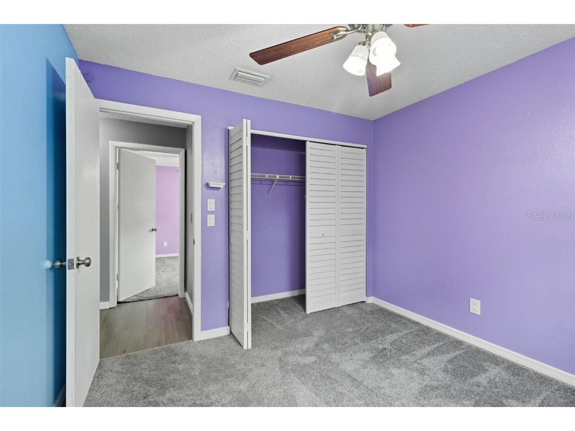 2589 Knoll Street W Palm Harbor FL 34683 OM709701 image25