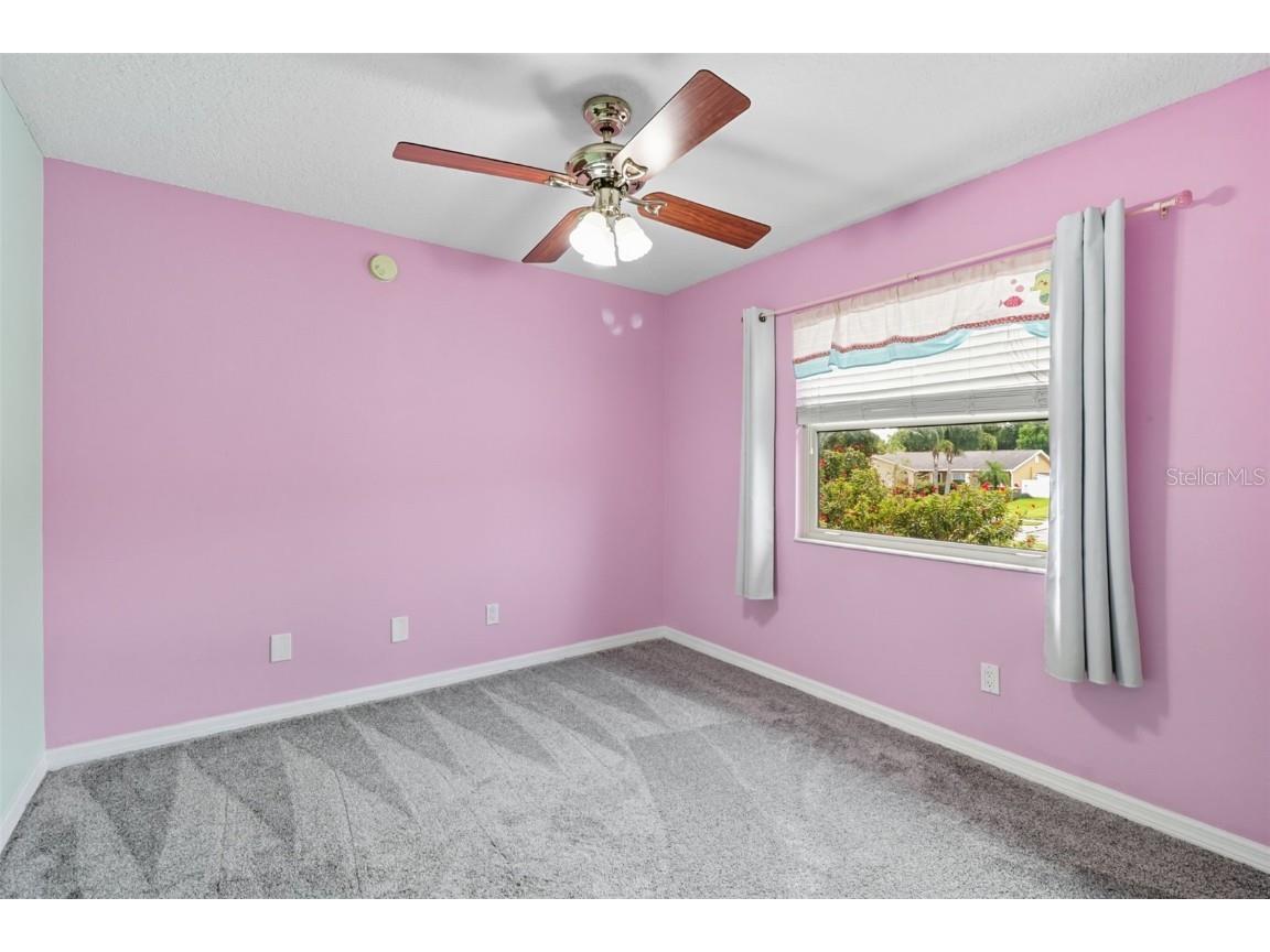 2589 Knoll Street W Palm Harbor FL 34683 OM709701 image26