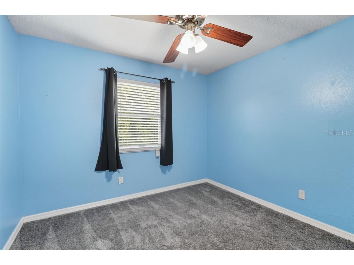 2589 Knoll Street W Palm Harbor FL 34683 OM709701 image29