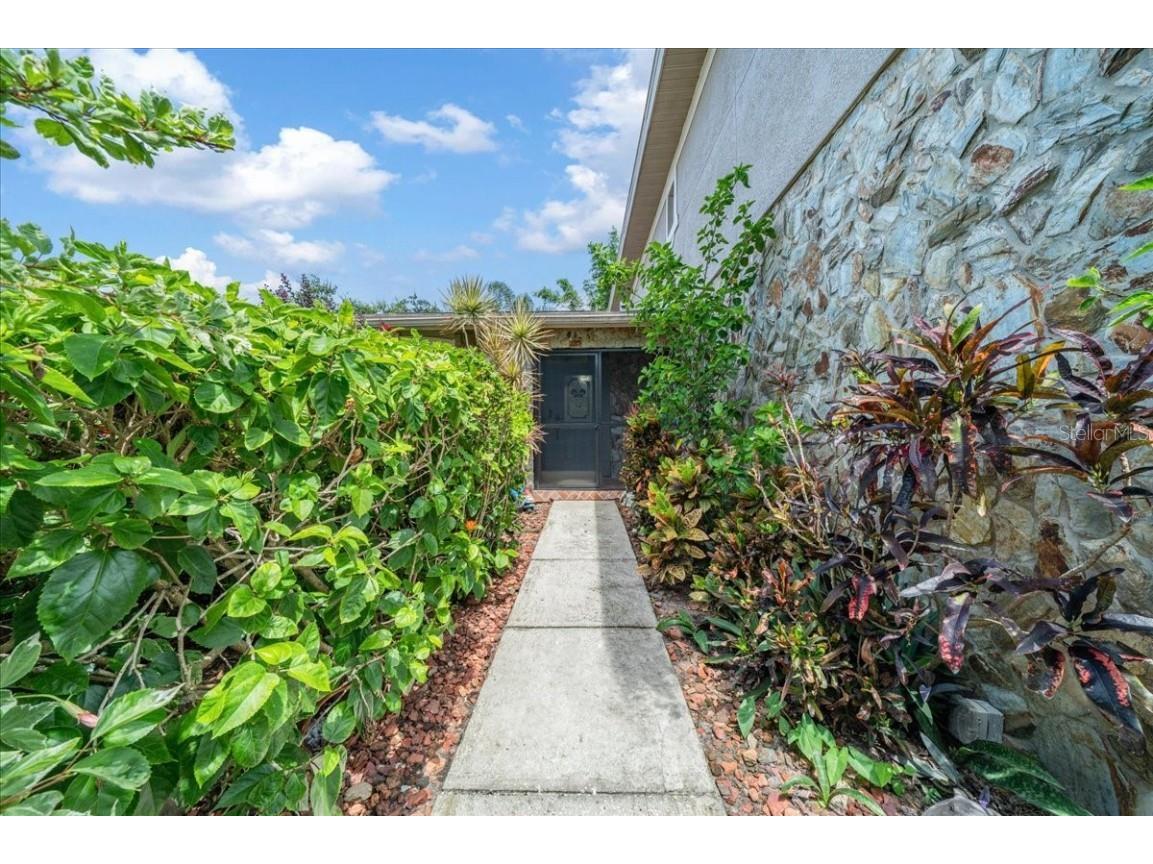 2589 Knoll Street W Palm Harbor FL 34683 OM709701 image4