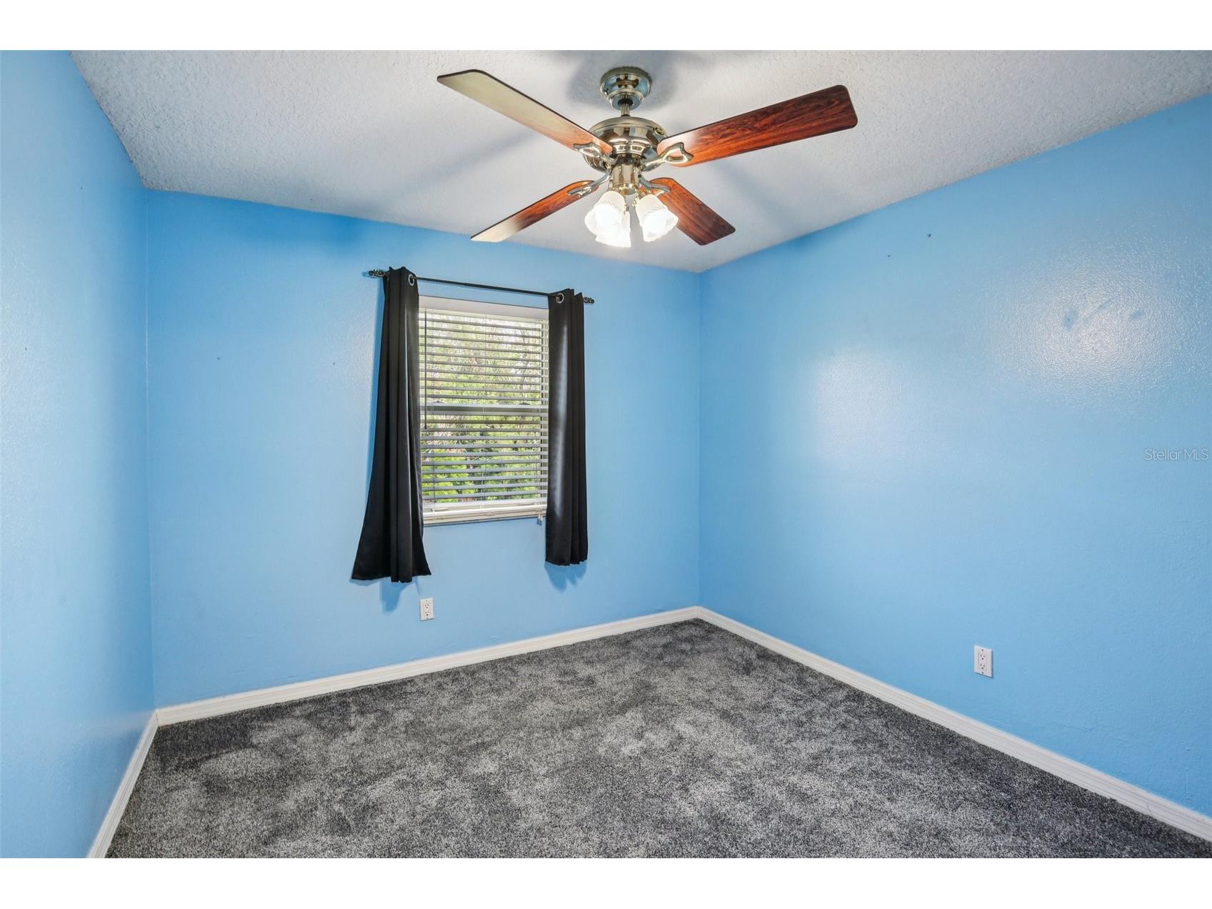 2589 Knoll Street W Palm Harbor FL 34683 TB8493973 image25
