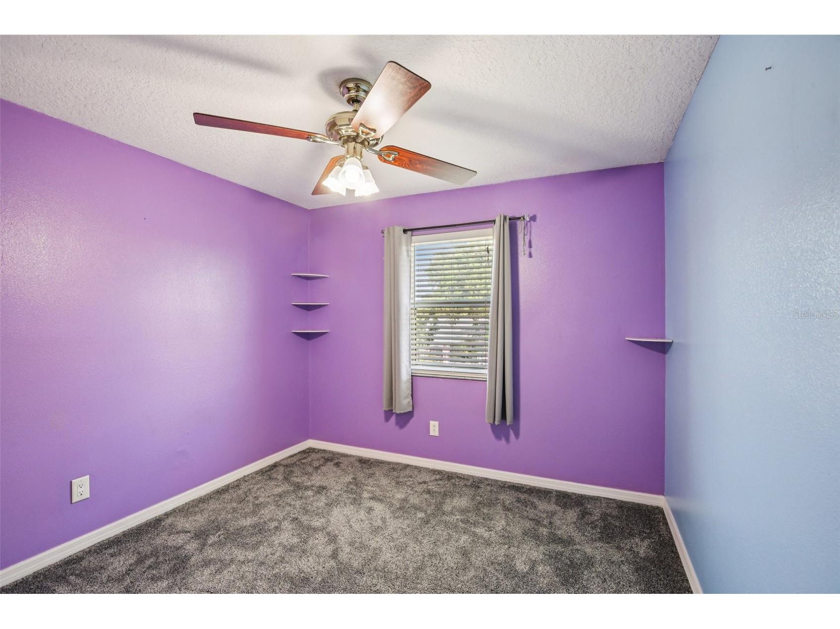 2589 Knoll Street W Palm Harbor FL 34683 TB8493973 image29