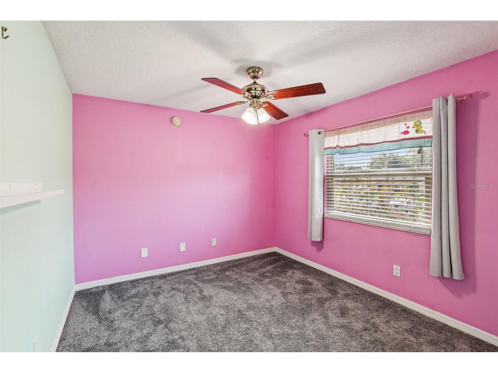 2589 Knoll Street W Palm Harbor FL 34683 TB8493973 image30