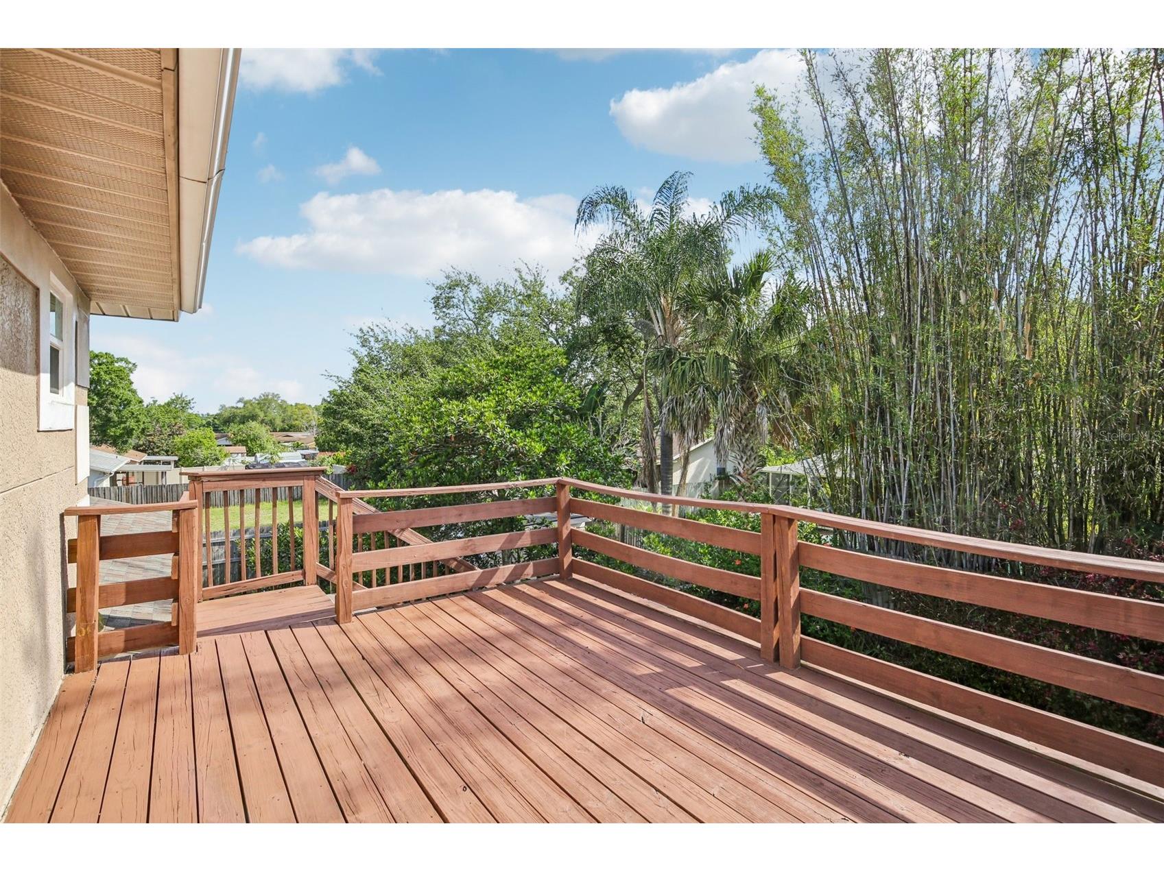 2589 Knoll Street W Palm Harbor FL 34683 TB8493973 image32
