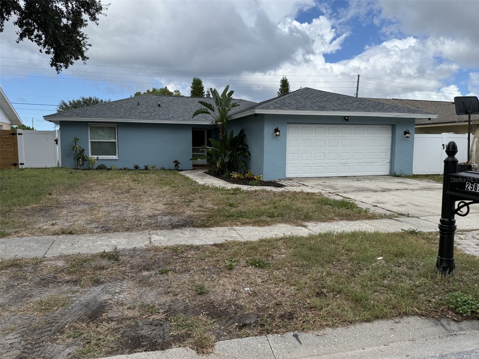 2589 Orangewood Court Palm Harbor FL 34684 TB8435246 image1