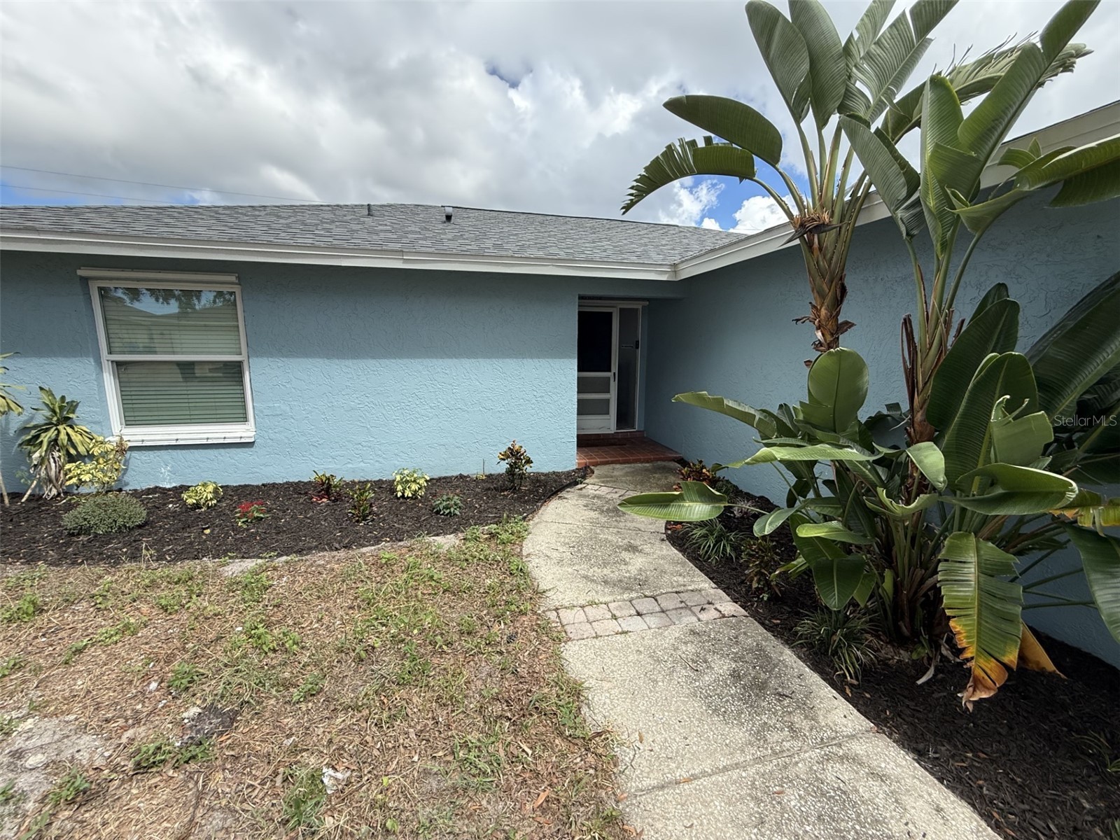 2589 Orangewood Court Palm Harbor FL 34684 TB8435246 image2