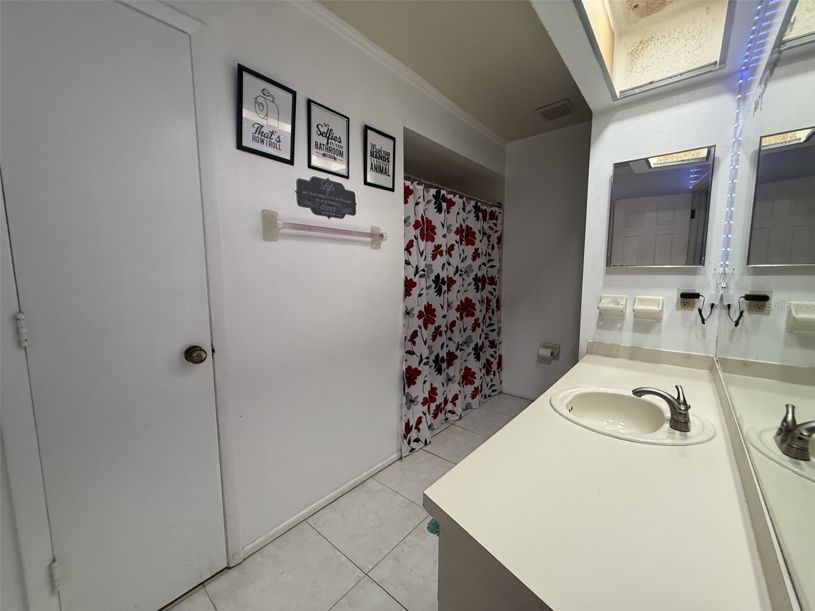 2589 Orangewood Court Palm Harbor FL 34684 TB8435246 image8