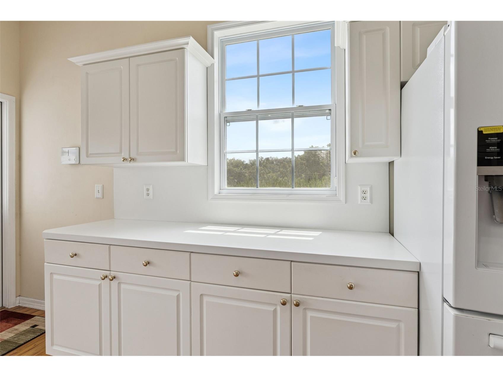 25895 Tilly Hawk Lane Brooksville FL 34602 - SAINT CLAIR LAKE O6419244 image33