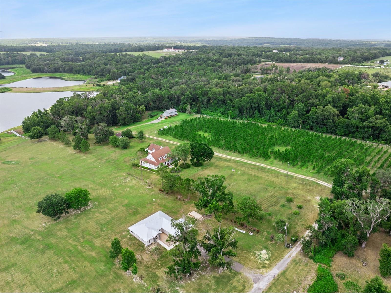 25895 Tilly Hawk Lane Brooksville FL 34602 - SAINT CLAIR LAKE O6419244 image44