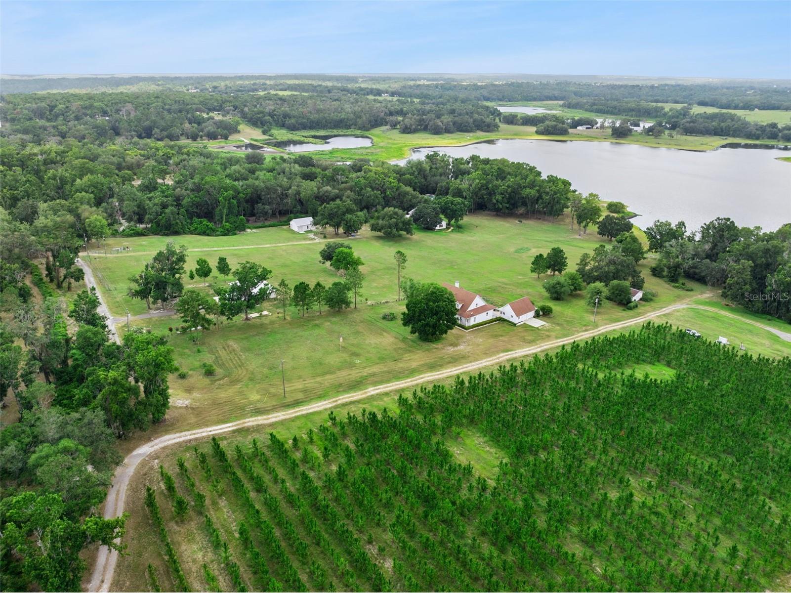 25895 Tilly Hawk Lane Brooksville FL 34602 - SAINT CLAIR LAKE O6419244 image45