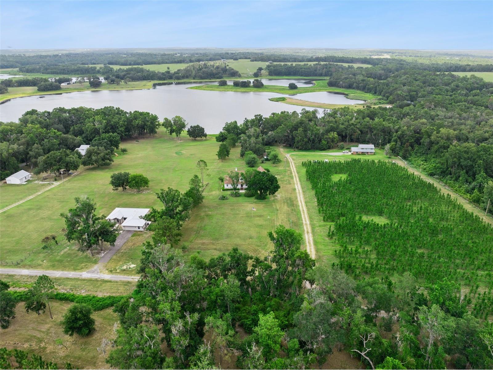25895 Tilly Hawk Lane Brooksville FL 34602 - SAINT CLAIR LAKE O6419244 image47
