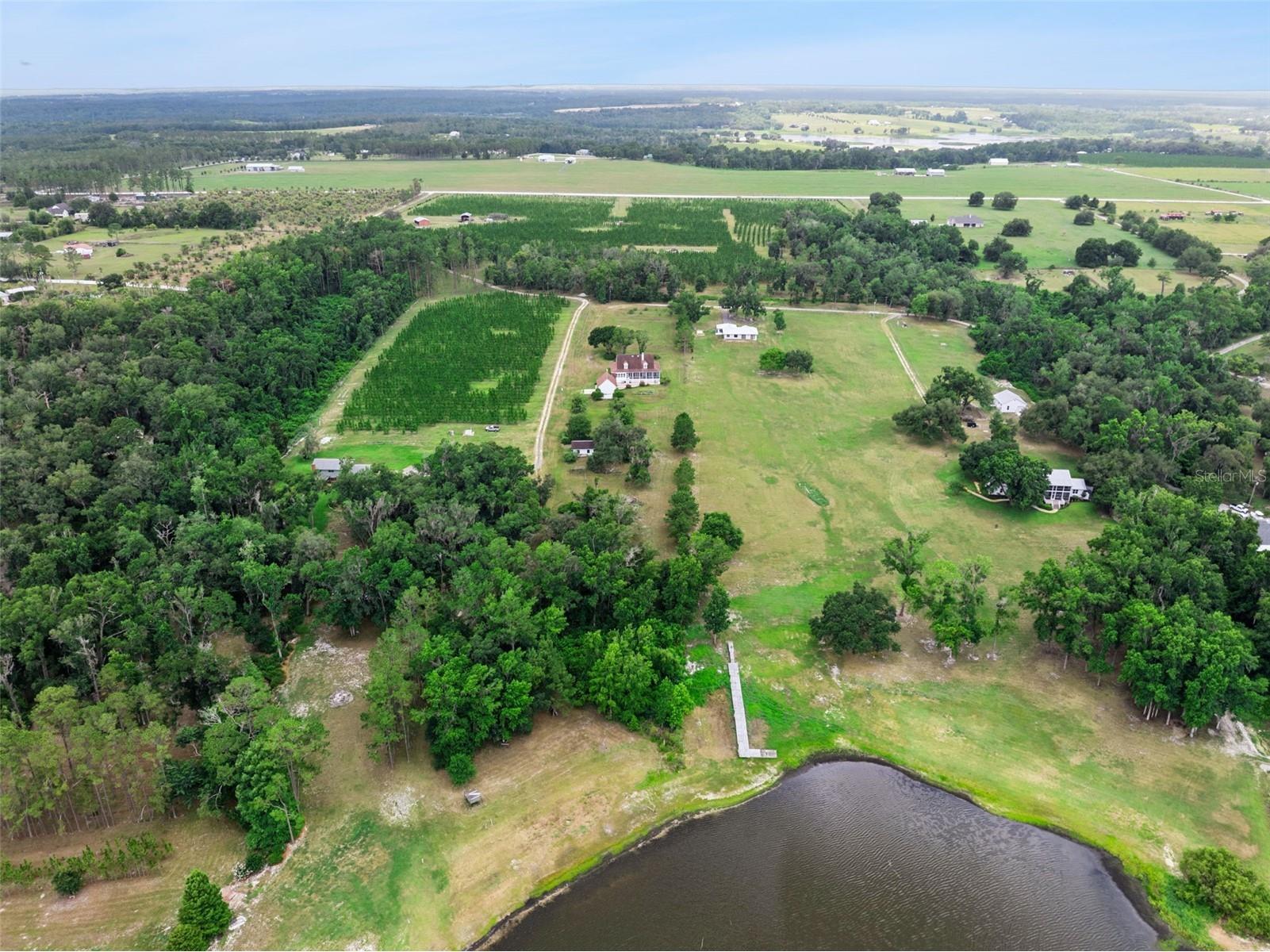 25895 Tilly Hawk Lane Brooksville FL 34602 - SAINT CLAIR LAKE O6419244 image48