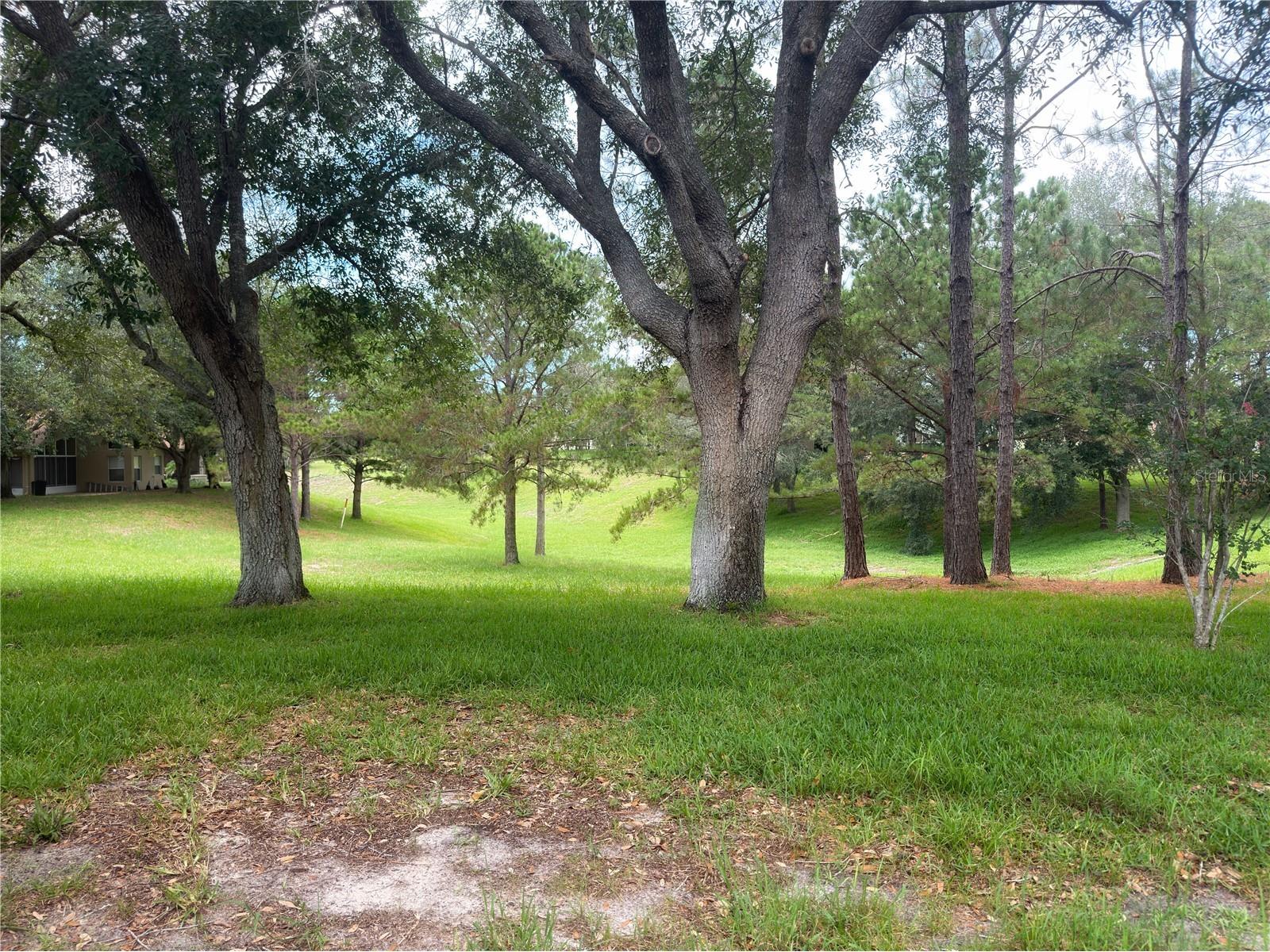 259 Center Oak Circle Spring Hill FL 34609 W7887312 image29