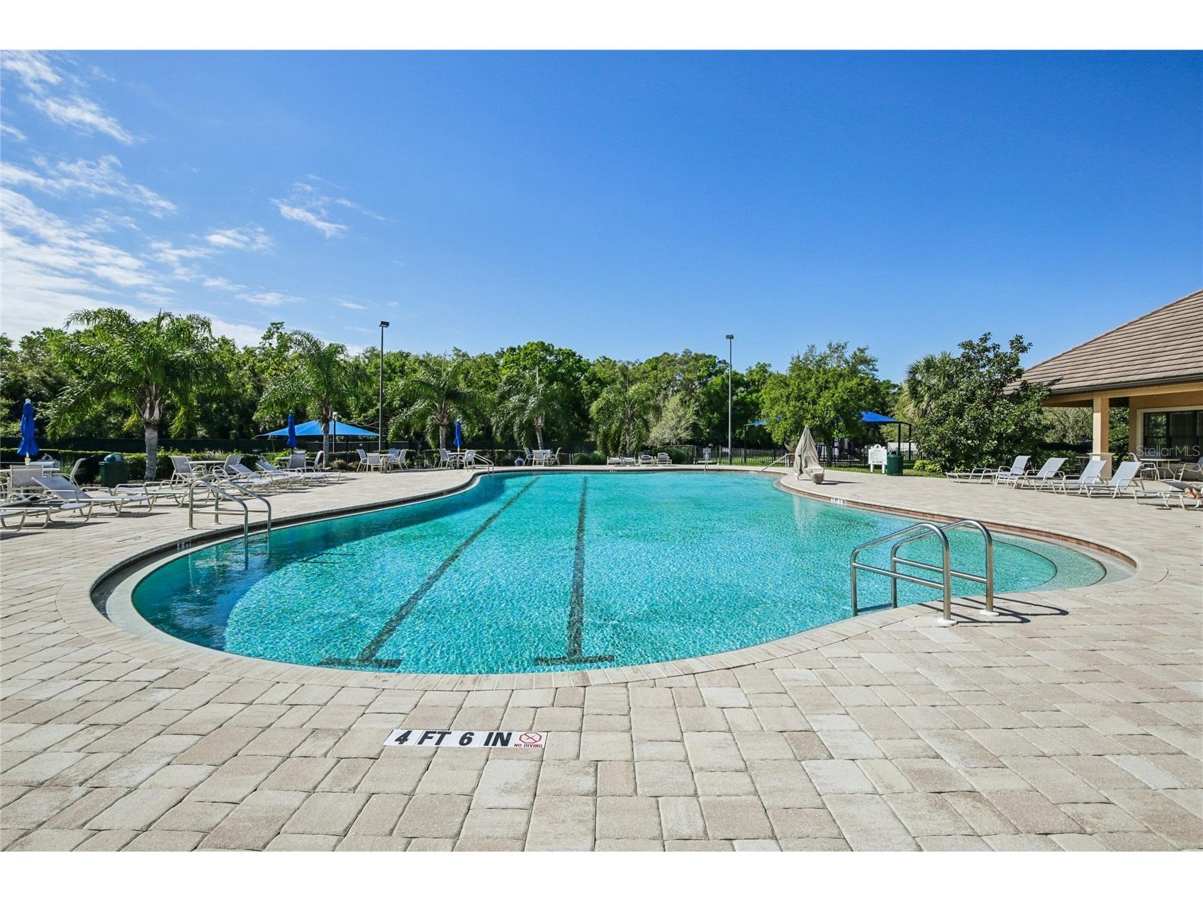 259 Dahlia Court Bradenton FL 34212 A4693296 image62