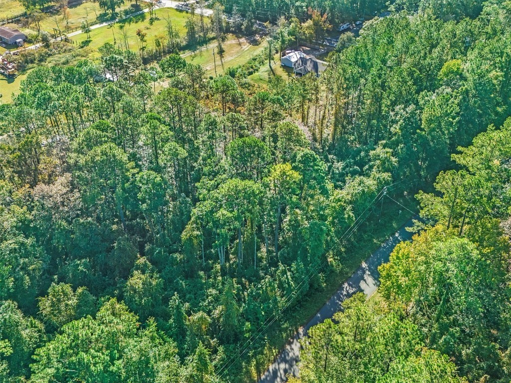 259 Dolphin Circle Middleburg FL 32068 FC304942 image1