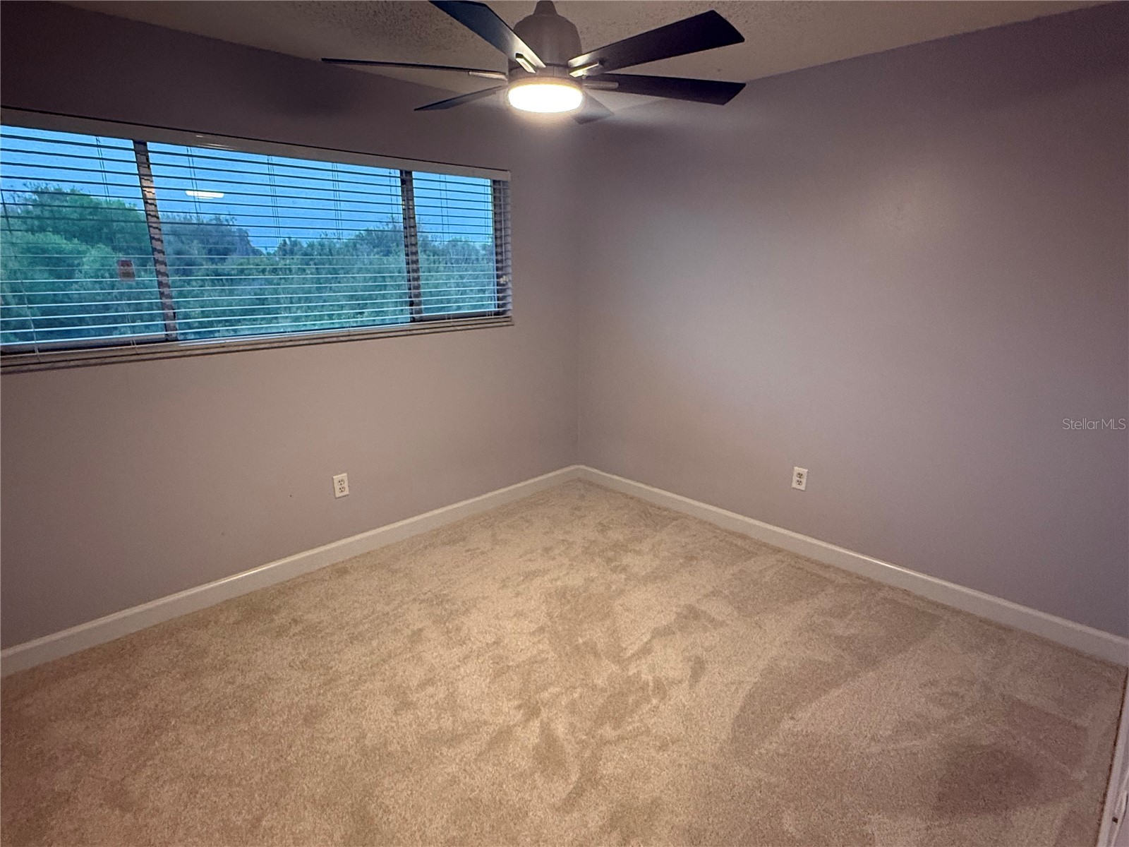 259 Fenwick Drive #34 Venice FL 34285 N6142710 image14