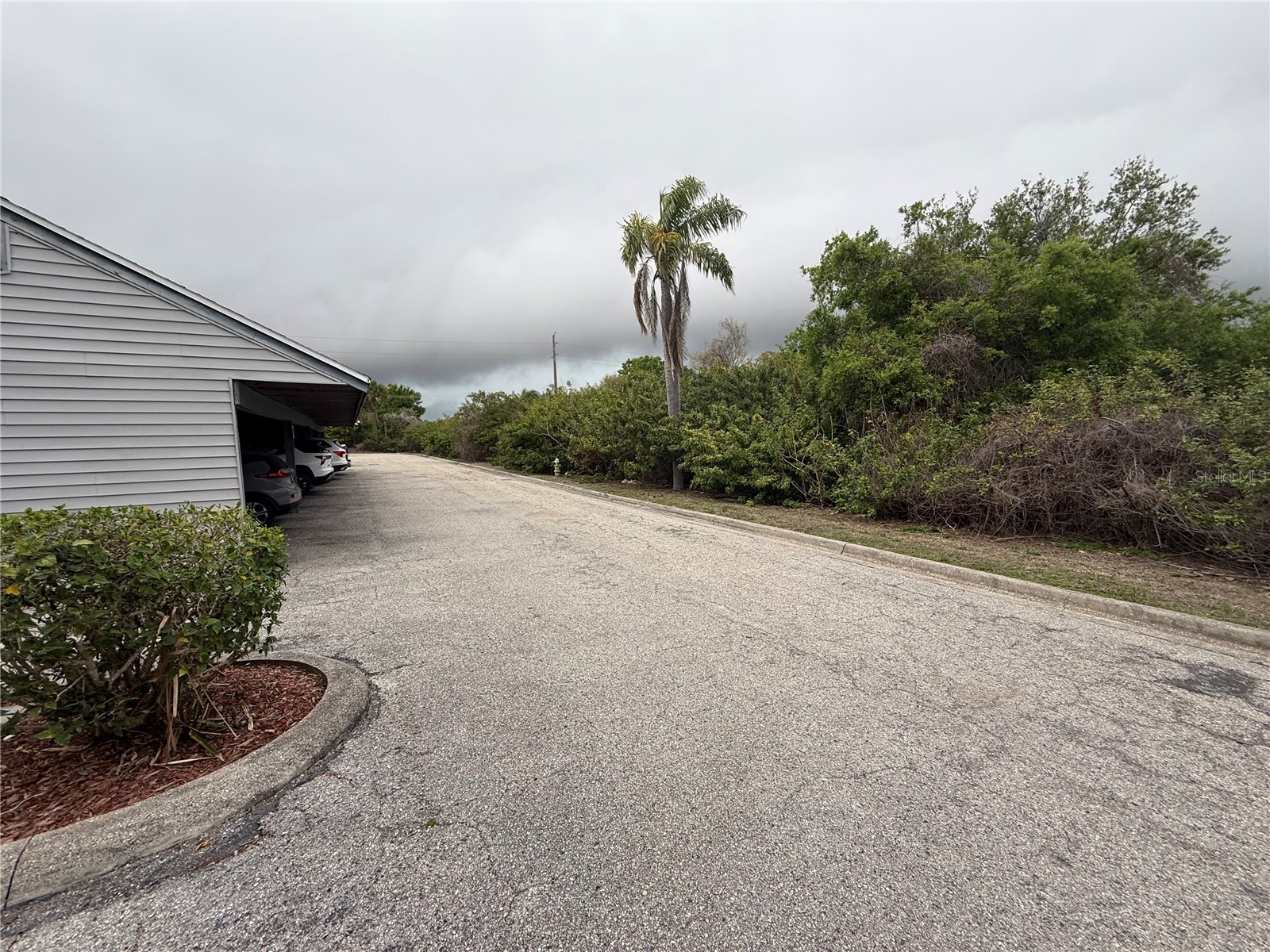 259 Fenwick Drive #34 Venice FL 34285 N6142710 image25