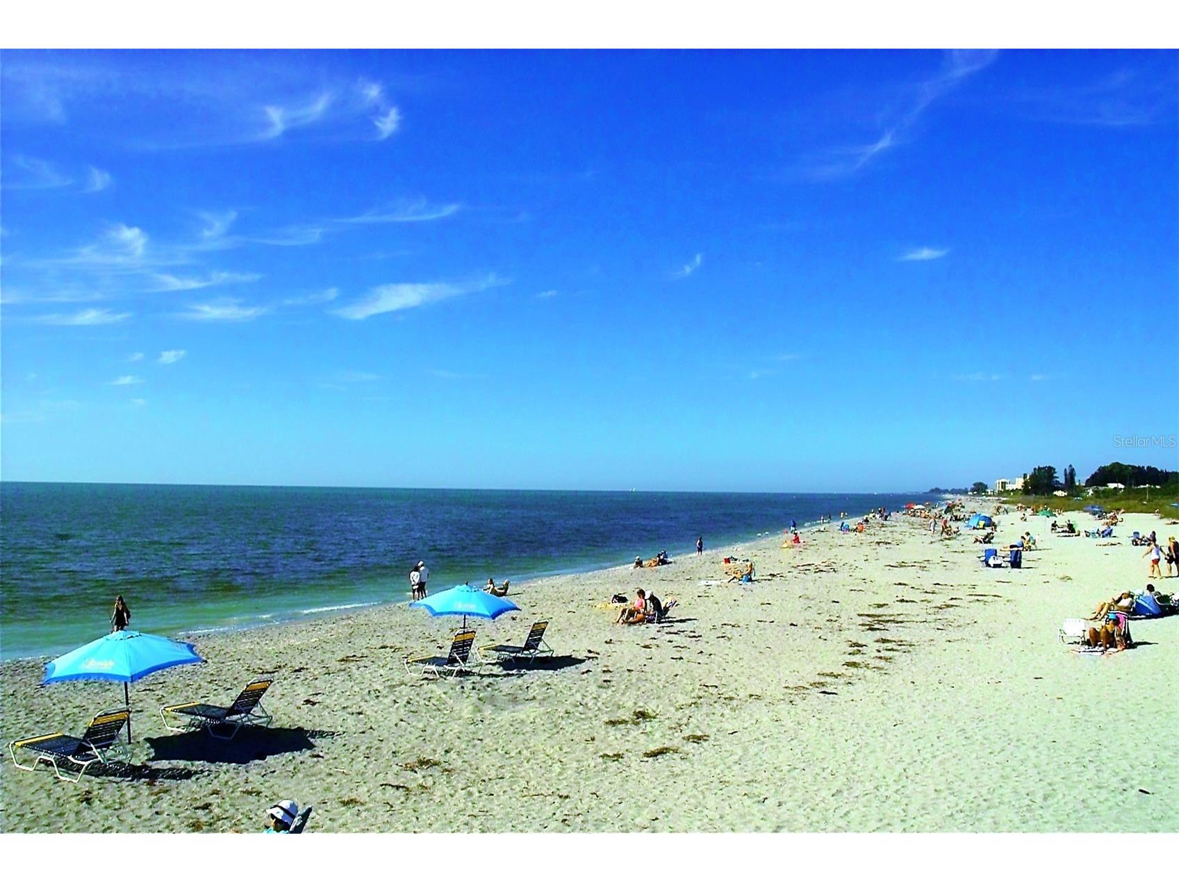 259 Fenwick Drive #34 Venice FL 34285 N6142710 image28