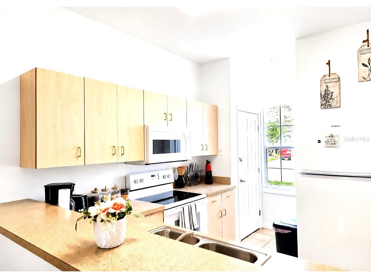 259 Grand Rapids Drive Kissimmee FL 34759 O6379991 image6
