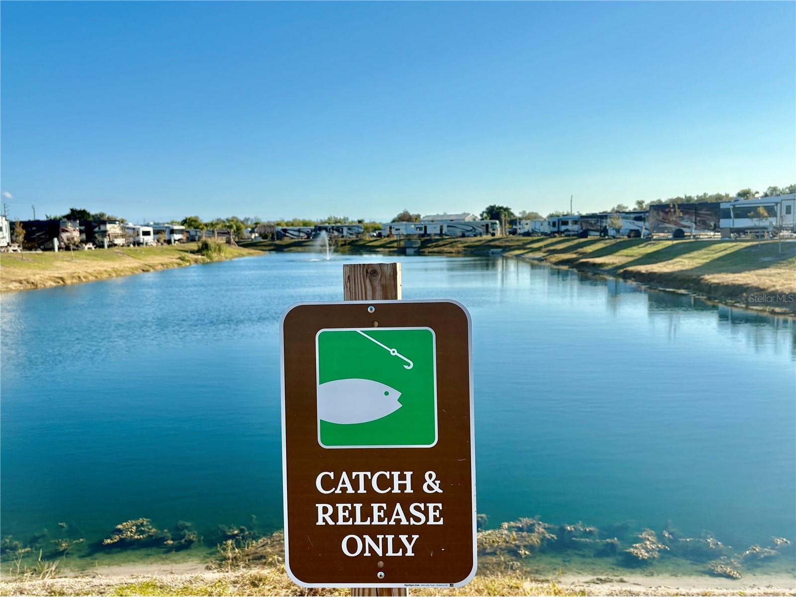 259 Horizon Road Punta Gorda FL 33982 C7521618 image7