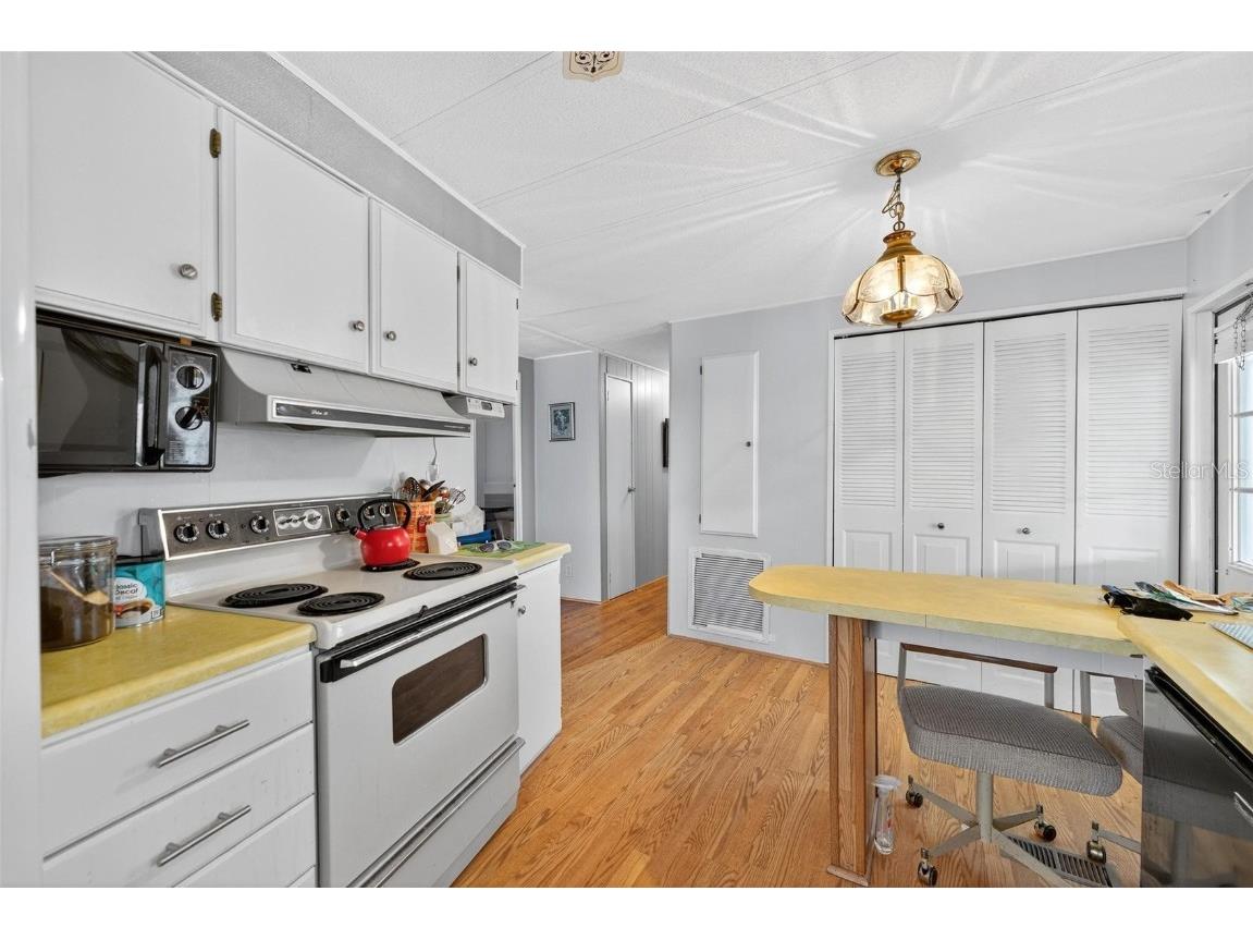 259 Kelou Court Leesburg FL 34788 G5102774 image28