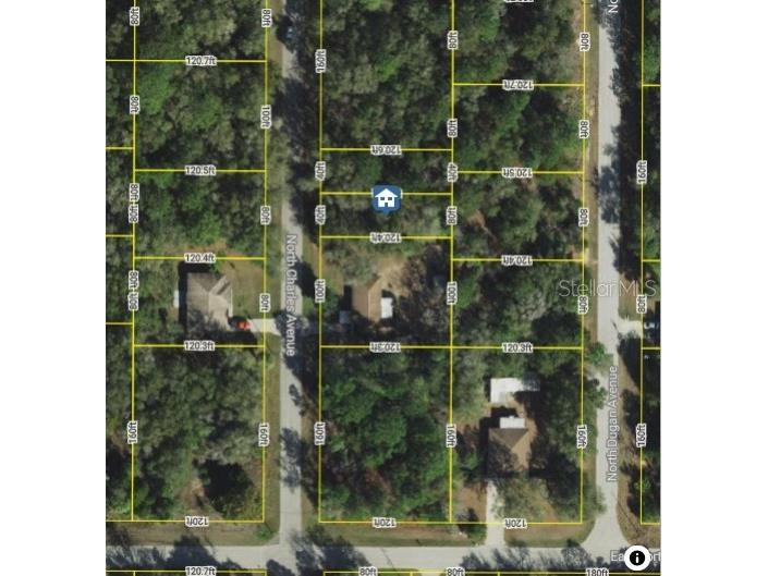 259 N Charles (Lots 68 & 69) Avenue Inverness FL 34453 W7879432 image3