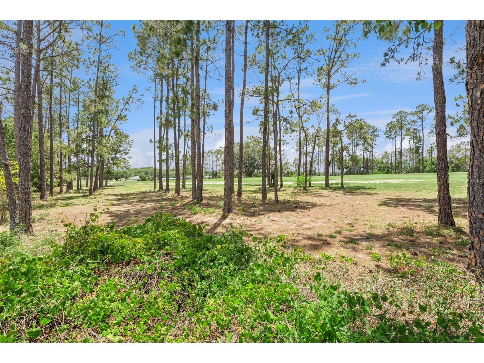 259 Northampton Drive Davenport FL 33897 S5150621 image55