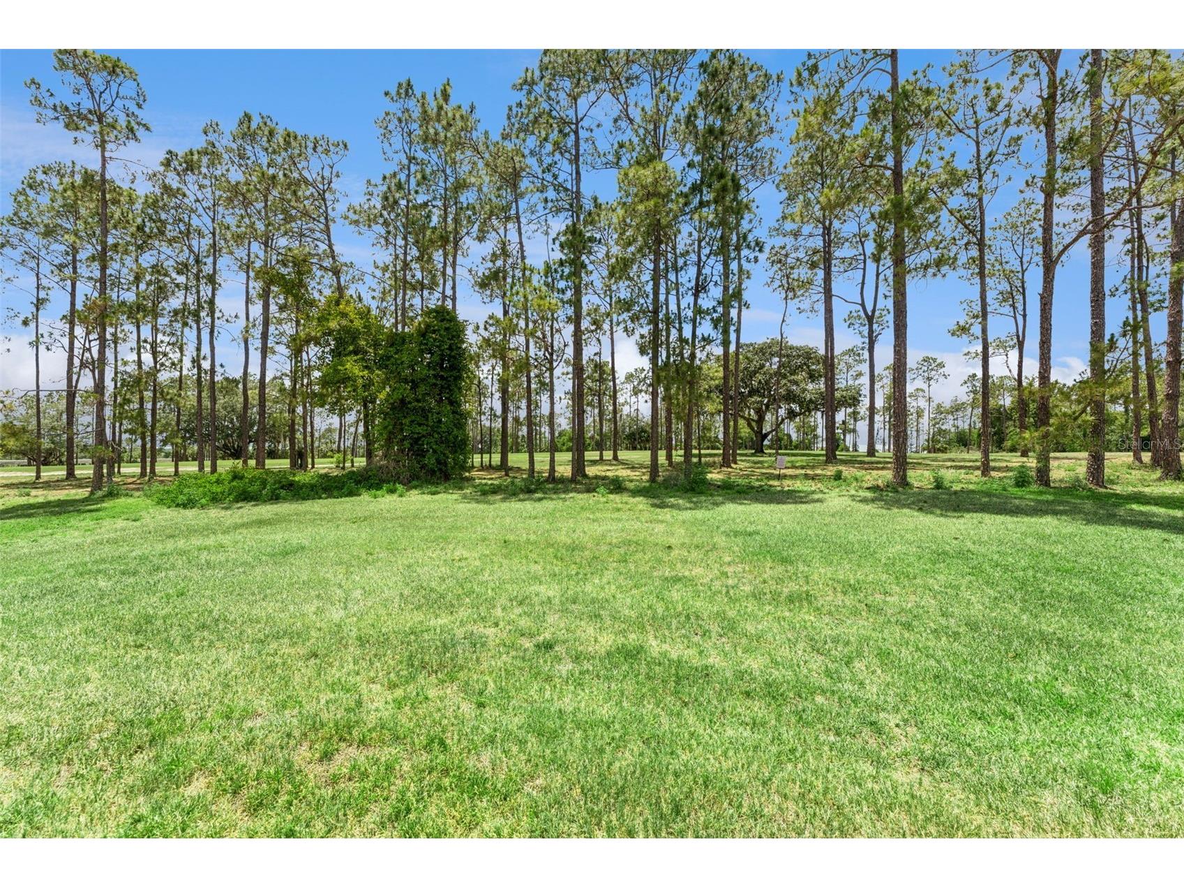 259 Northampton Drive Davenport FL 33897 S5150621 image56