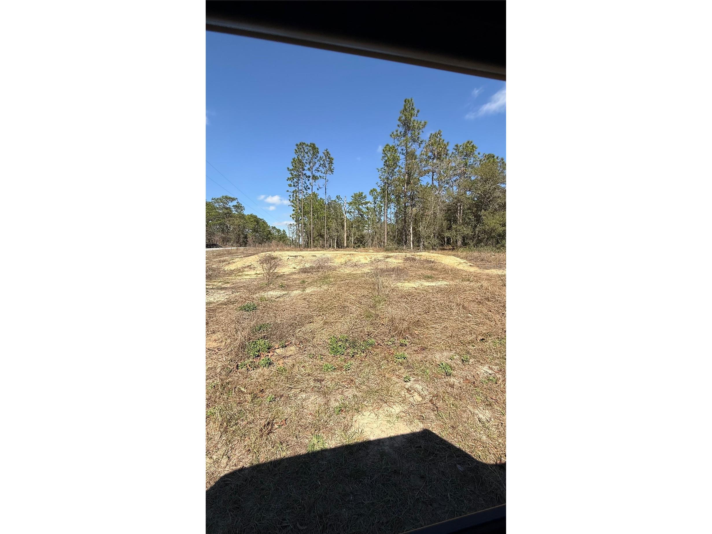 259 NW Redwood Drive Dunnellon FL 34431 O6421668 image2