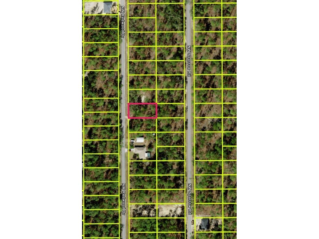259 NW Redwood Drive Dunnellon FL 34431 O6421668 image3
