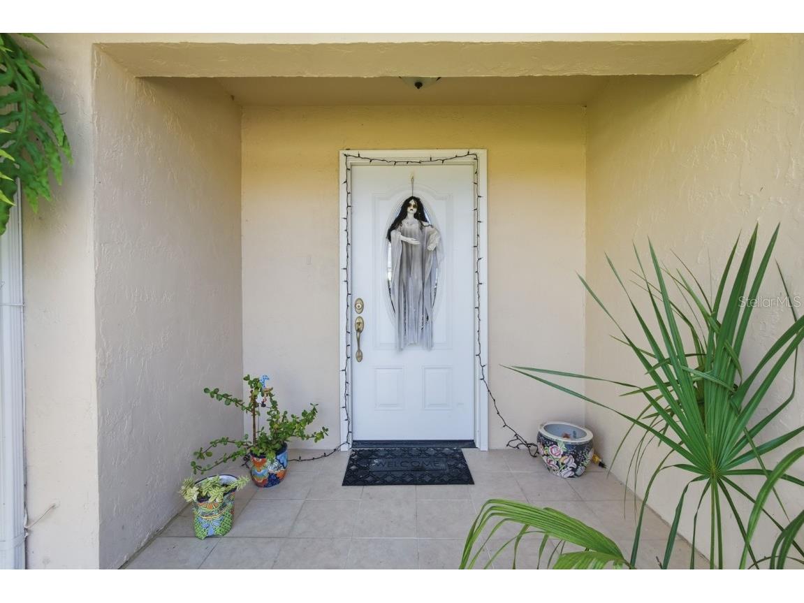 259 Ocean Palm Drive Flagler Beach FL 32136 V4945566 image7