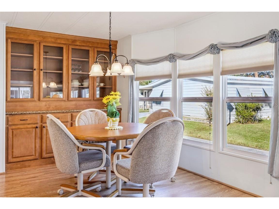 259 Pinewood Drive Eustis FL 32726 - Trout Lake O6367467 image9