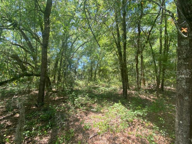 259 Putnam Loop Road Melrose FL 32666 OK221883 image1