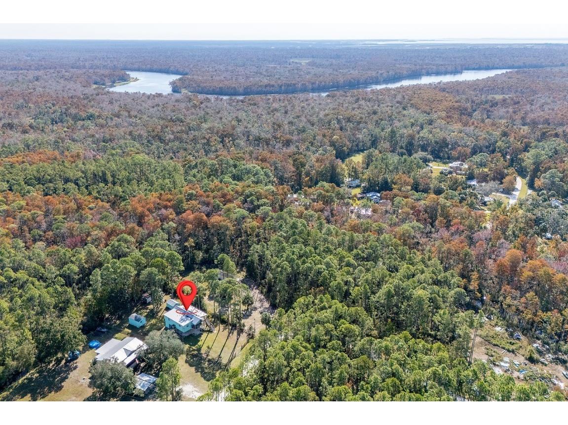 259 SE 373 Street Old Town FL 32680 GC535650 image23