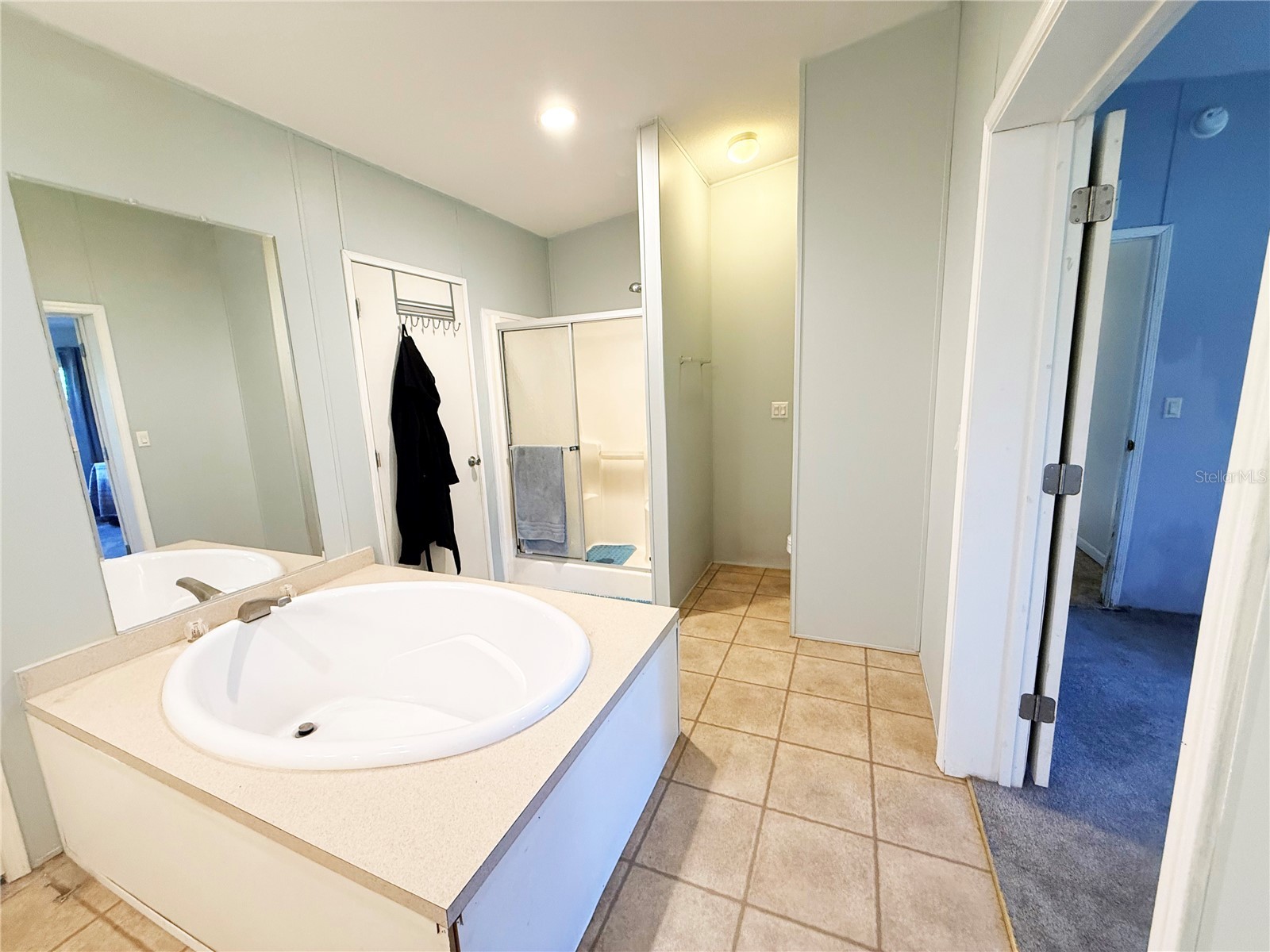 259 SE Rattler Court High Springs FL 32643 GC541377 image18