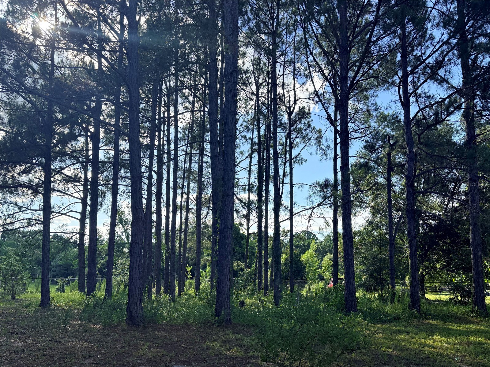 259 SE Rattler Court High Springs FL 32643 GC541377 image35