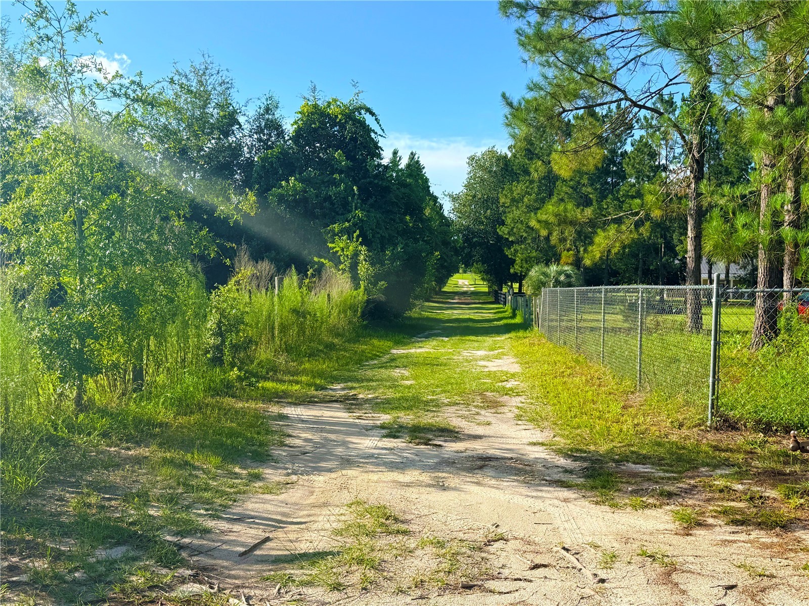 259 SE Rattler Court High Springs FL 32643 GC541377 image38