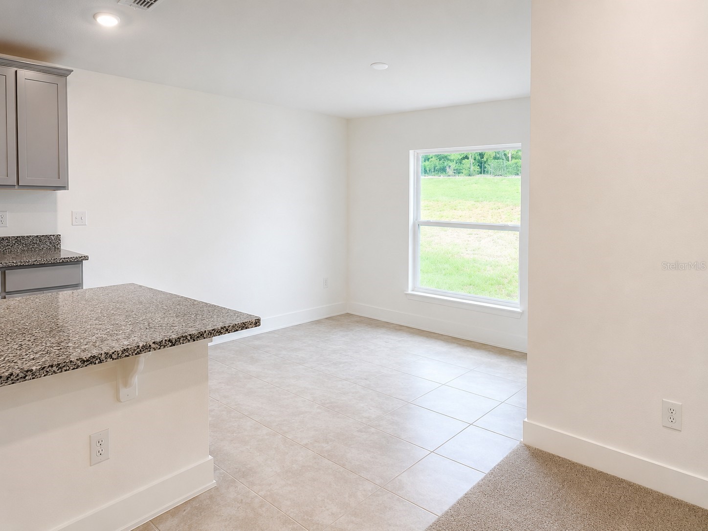 259 Verny Grove Lane Leesburg FL 34748 O6399952 image5