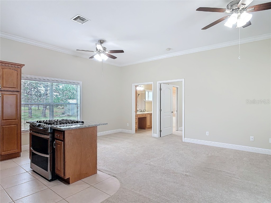 2590 Erena Drive New Smyrna Beach FL 32168 NS1083942 image52