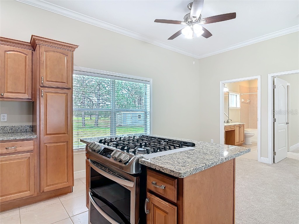 2590 Erena Drive New Smyrna Beach FL 32168 NS1083942 image58