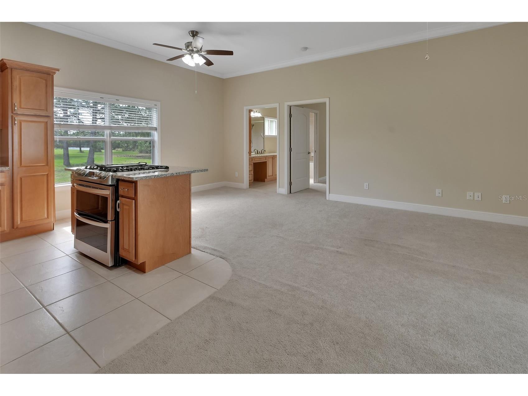 2590 Erena Drive New Smyrna Beach FL 32168 NS1088283 image47